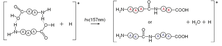 peptide Synthesis Equation